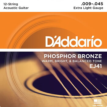 D'Addario EJ41 009-045 (12-String)