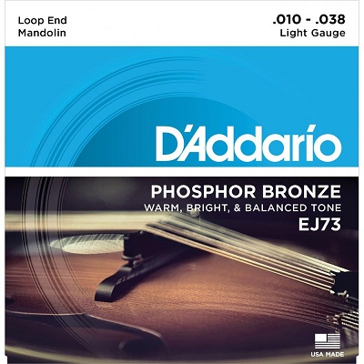 D'Addario EJ73 Mandolin Light