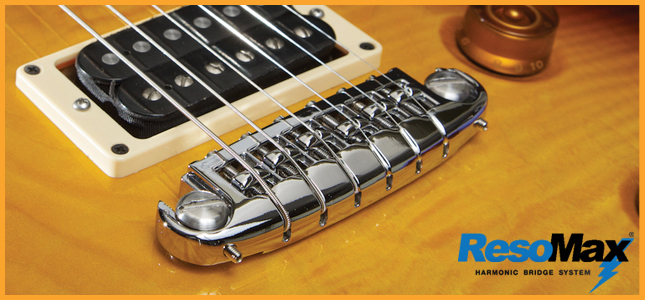 PS-8593-C0 ResoMax NW2 Wraparound Bridge  - 2