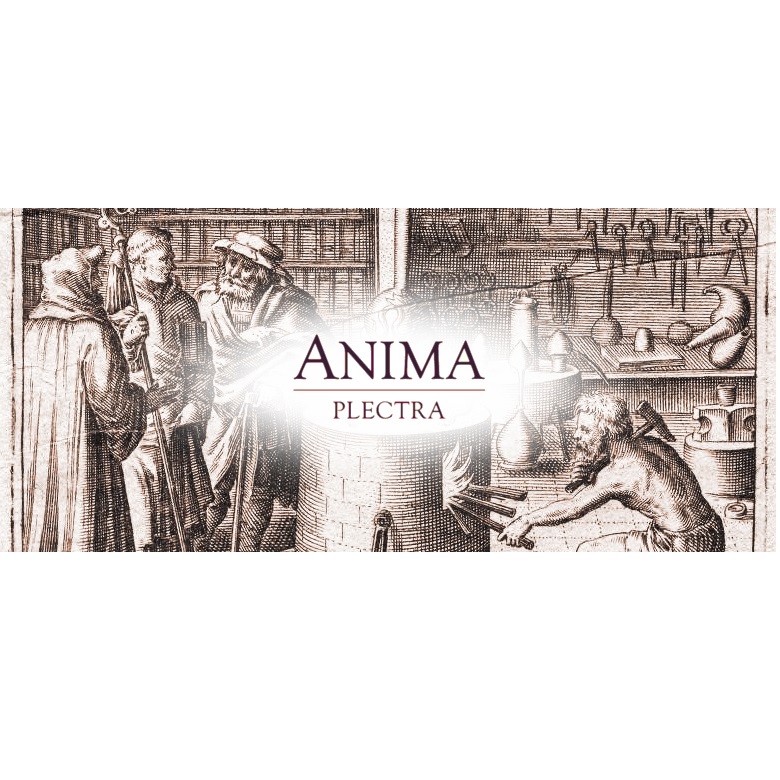 Anima Wood Plectra (Large & Small) - 3