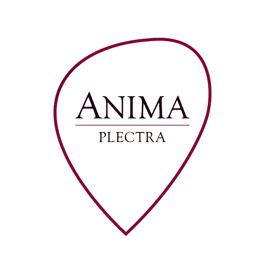 Anima Wood Plectra (Large & Small) - 2