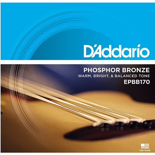 D'Addario EPBB170 Acoustic Bass 045-100
