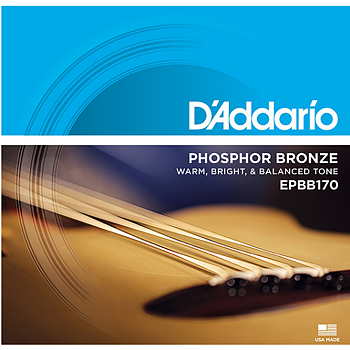 D'Addario EPBB170 Acoustic Bass 045-100