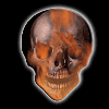 Hotpicks Motion pick "Flame Skull" 