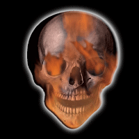 Hotpicks Motion pick "Flame Skull"  - 2