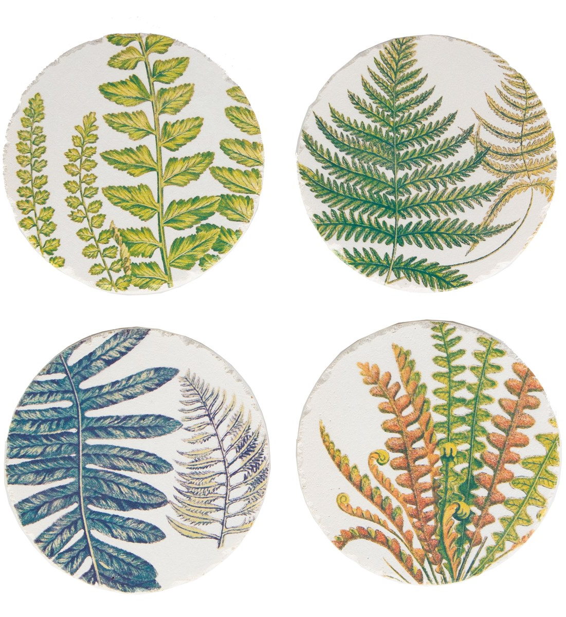 Bordsskonare underlägg glasunderlägg Botaniska Ormbunke 4 set shabby chic lantlig stil