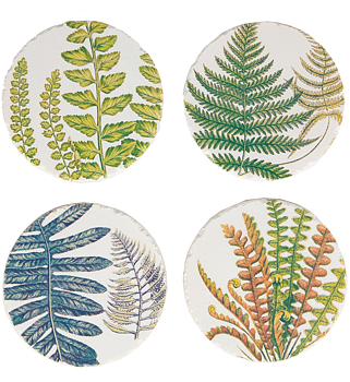 Bordsskonare underlägg glasunderlägg Botaniska Ormbunke 4 set shabby chic lantlig stil