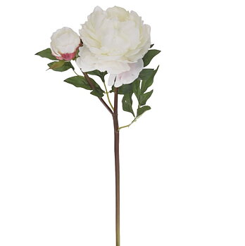 Pion vit konstväxt shabby chic lantlig stil Gårdsromantik