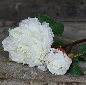 Pion vit konstväxt shabby chic lantlig stil Gårdsromantik
