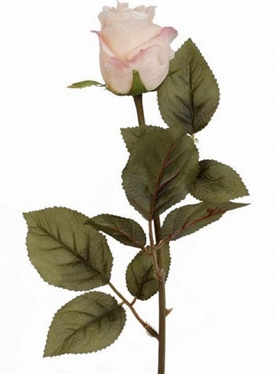 Ros konstväxt shabby chic lantlig stil