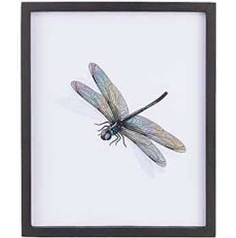 Tavla Dragonfly shabby chic lantlig stil