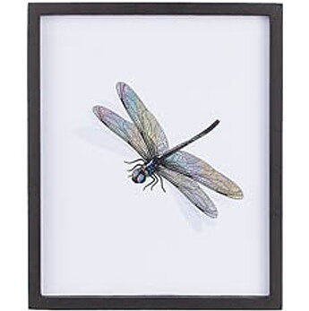 Tavla Dragonfly shabby chic lantlig stil