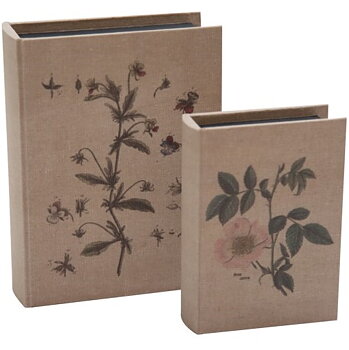 Boklåda bokgömma Ros eller Viol shabby chic lantlig stil