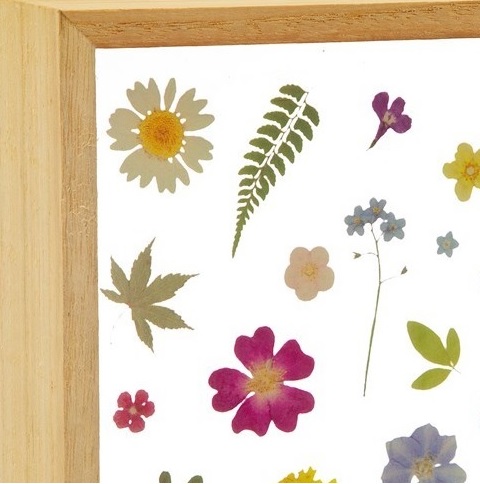 "Pressade" ängsblommor i ram dekoration shabby chic lantlig stil gammalsvenska Gårdsromantik - 2