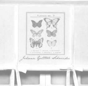 Hissgardin Butterfly Fjäril vit med grått tryck lantlig stil  - 2