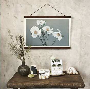 Gammaldags plansch skolplansch svenska växter Vit Vallmo shabby chic lantlig stil