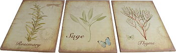 Botaniska skyltar örter shabby chic lantlig stil 3 sorter