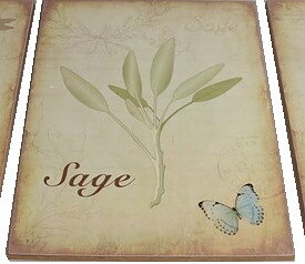 Botaniska skyltar örter shabby chic lantlig stil 3 sorter