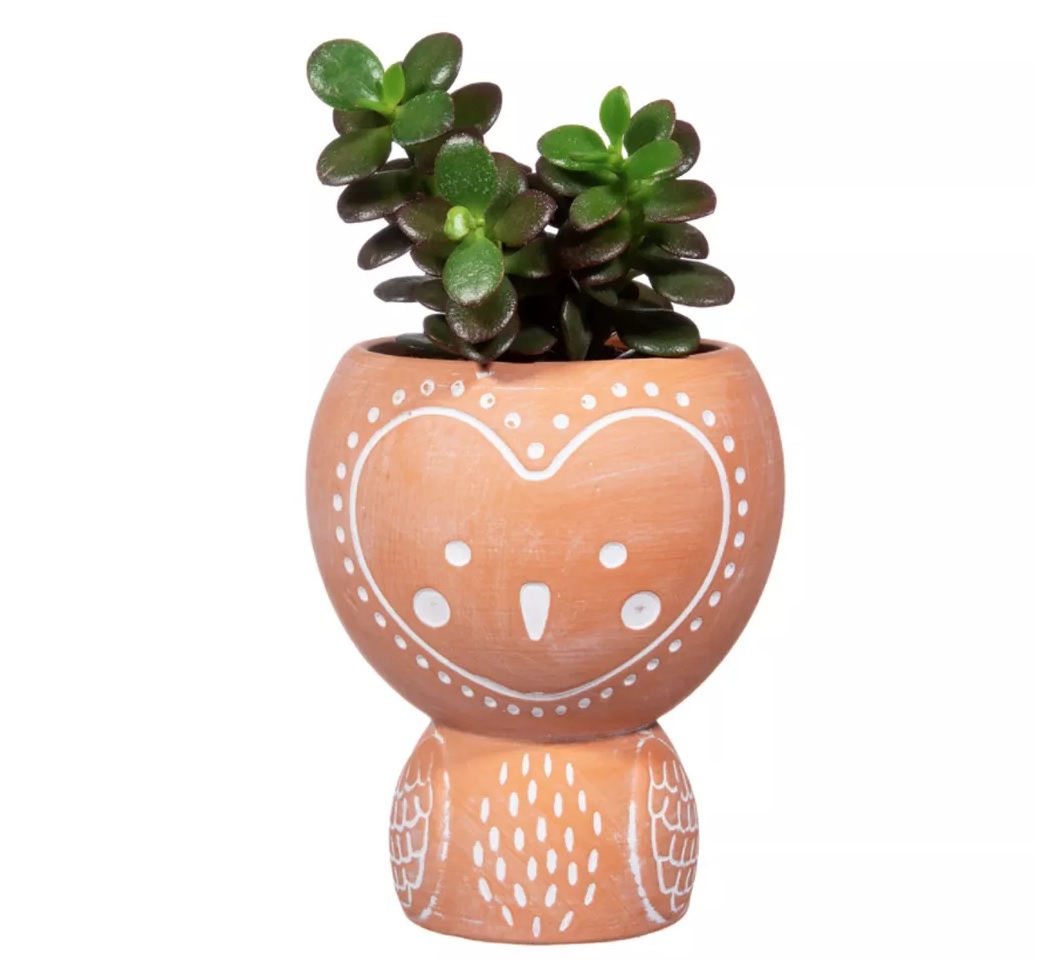 Kruka liten terrakotta Uggla retro design bohemisk lantlig stil Gårdsromantik