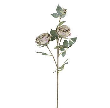 Ros konstväxt shabby chic lantlig stil chic antique 
