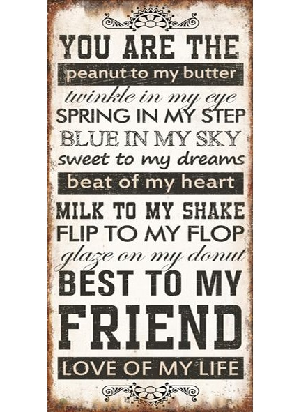 Plåtskylt med magnet you are the peanut to my butter shabby chic lantlig stil