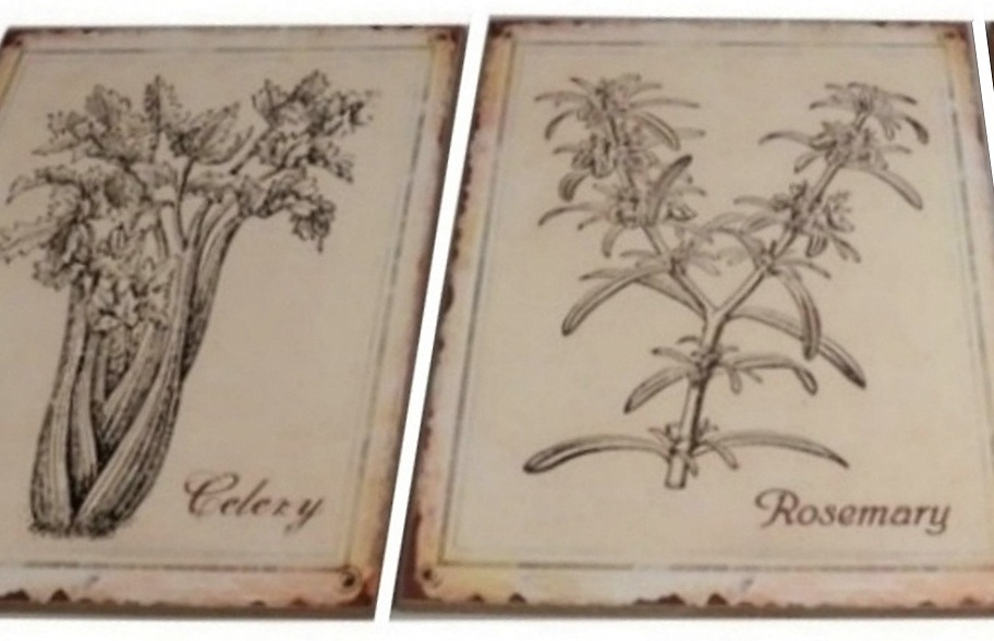 Botaniska skyltar örter shabby chic lantlig stil 3 sorter - 2