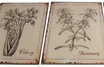 Botaniska skyltar örter shabby chic lantlig stil 3 sorter