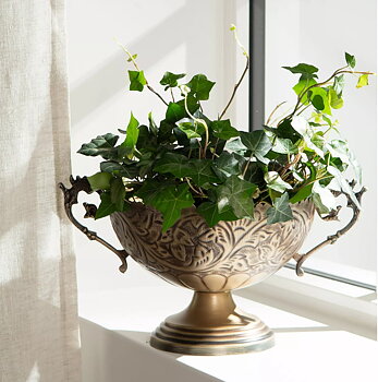 Kruka på fot i antik guld ornament pokal shabby chic lantlig stil