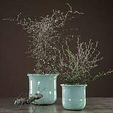 Myra stor ärgad shabby chic lantlig stil Gårdsromantik