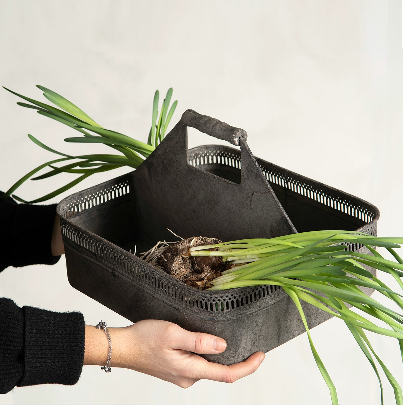 Låda i antik plåt 2 fack trädgård förvaring plantkorg Lantlig stil Gårdsromantik