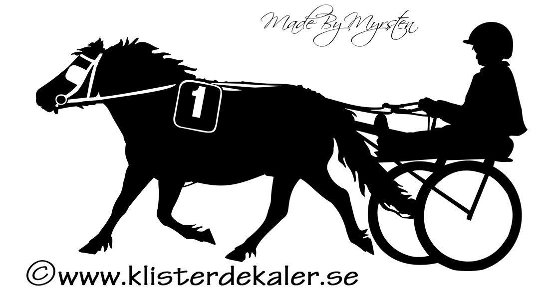 Pony racing 1