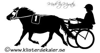 Ponnytravare 1