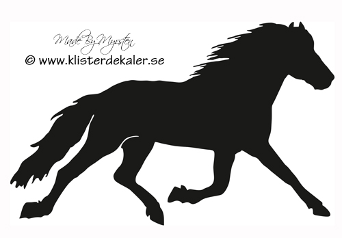 Horse in trot