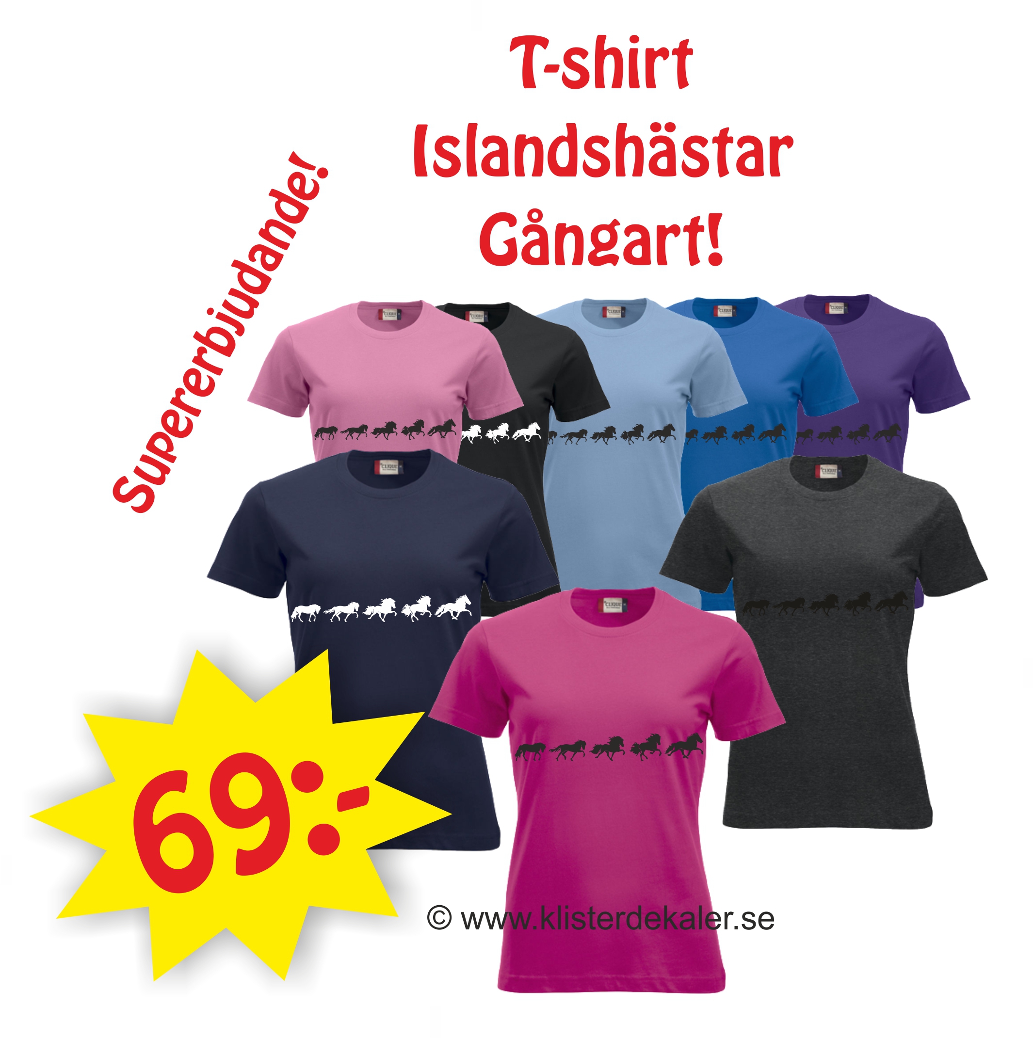T-shirt Icelandic horse