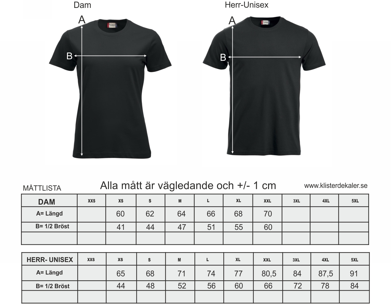 T-shirt Icelandic horse - 2