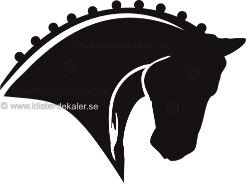 Carbumper, dressage horse