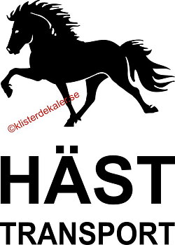 Transport decal front Icelandic Horse