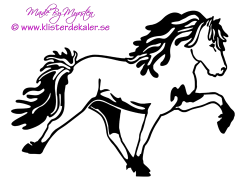 Single Icelandic horse 30