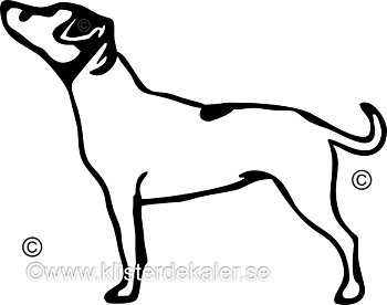 Bildekal Jack Russell Terrier profil 2