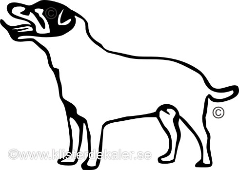 Bildekal Jack Russell Terrier profil 4