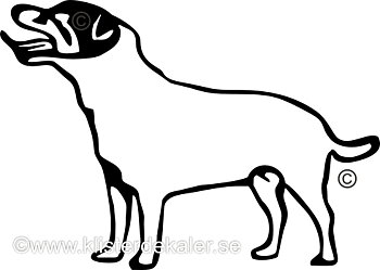 Bildekal Jack Russell Terrier profil 4