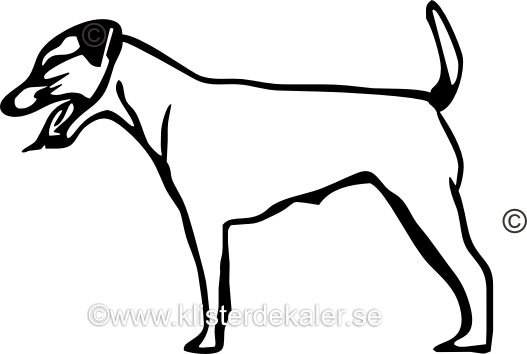 Bildekal Jack Russell Terrier profil 6