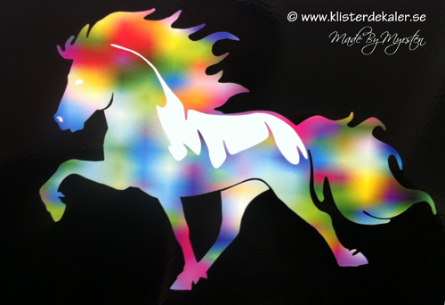 Single Icelandic horse Pride