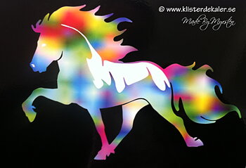 Enkel Islandshäst  Pride