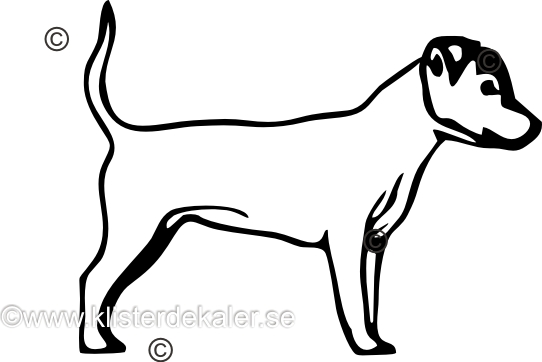Bildekal Jack Russell Terrier profil 8