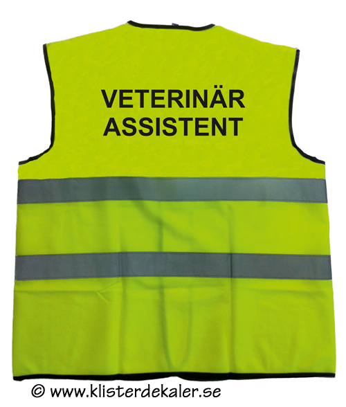 Reflective vest