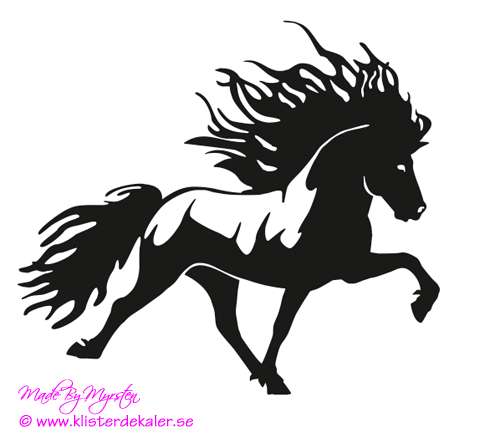 Single Icelandic horse 26