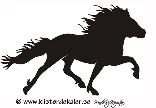 Enkel Islandshäst 16 pass