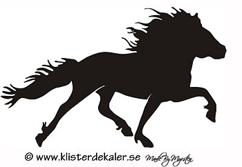 Enkel Islandshäst 16 pass
