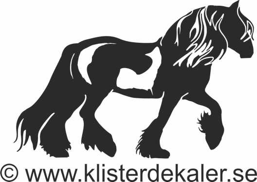 Tinker - Irish Cob Profile 1 - SKÄCK